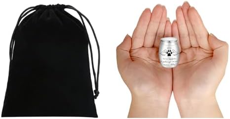 Small Pet Urn for Ashes Mini Keepsake Urn with Angel Wings and Paw Print