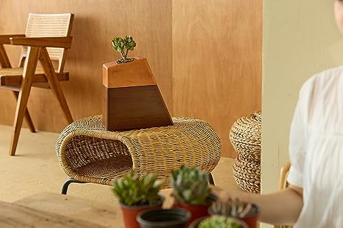 AspenStudio Plant Urn for Human Ashes Cremation