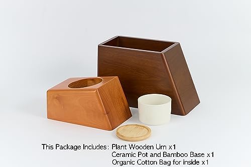 AspenStudio Plant Urn for Human Ashes Cremation