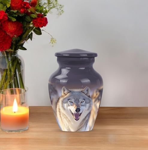 LEXFAY Decorative Urns Set of 2 for Ashes