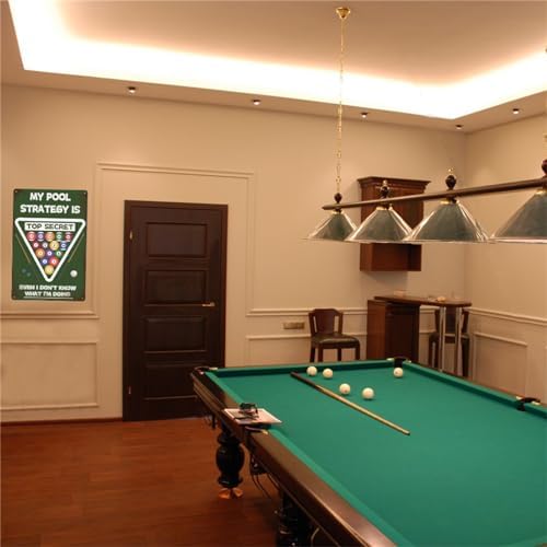 DZQUY Billiard Room Decor Tin Sign 8x12 Inches