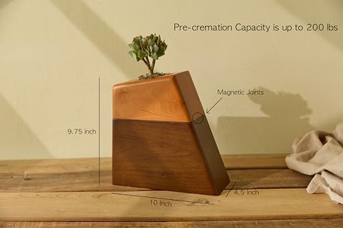 AspenStudio Plant Urn for Human Ashes Cremation