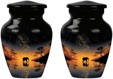 Mini Cremation Urns for Ashes Set of 2