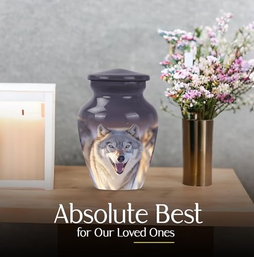 LEXFAY Decorative Urns Set of 2 for Ashes