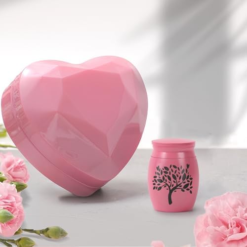 Small Urns for Human Ashes - Mini Cremation Urn with Heart Box and Necklace