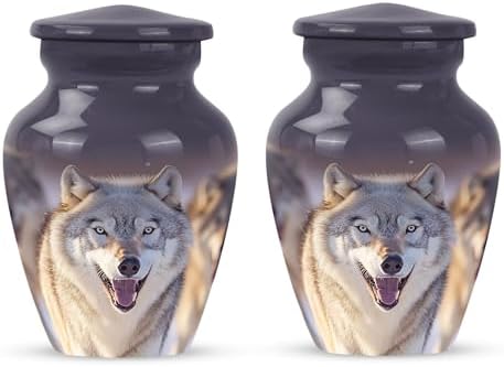 LEXFAY Decorative Urns Set of 2 for Ashes