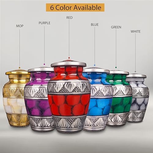 Small Cremation Urn with Velvet Case and Funnel - White Mini Keepsake for Family Pet or Loved Ones