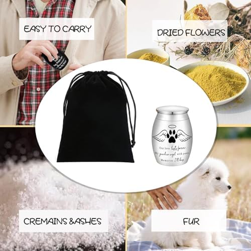 Small Pet Urn for Ashes Mini Keepsake Urn with Angel Wings and Paw Print