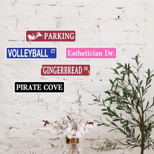 Metal Sign Esthetician DR Funny Pink Road Plaque Wall Art Decor