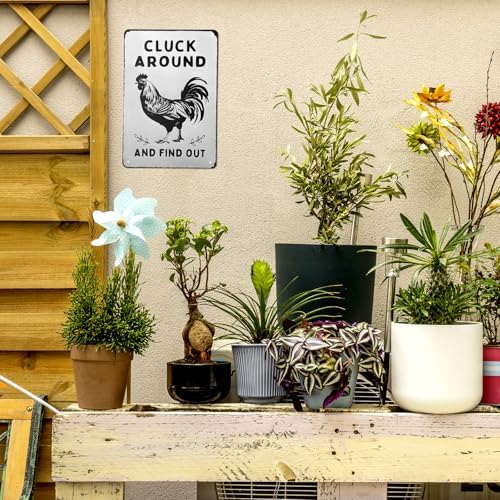 Funny Chicken Wall Decor Metal Sign Farmhouse Gift Cluck Around and Find Out Poster