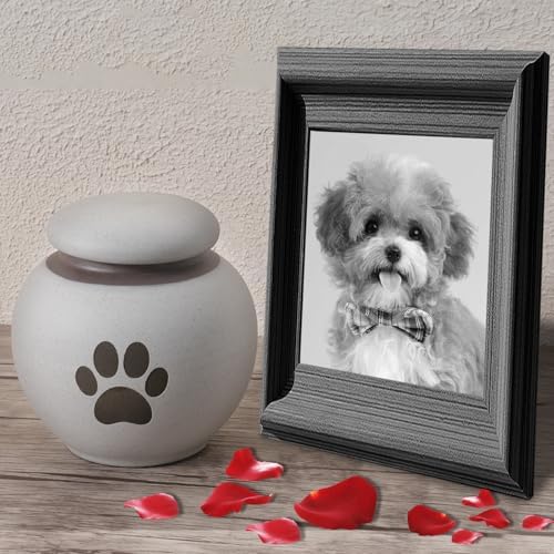 Small Pet Urn for Ashes - Gray White Ceramic Paw Design Keepsake