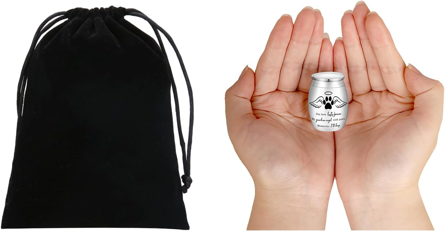 Small Pet Urn for Ashes Mini Keepsake Urn with Angel Wings and Paw Print