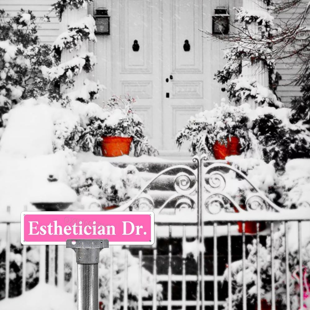 Metal Sign Esthetician DR Funny Pink Road Plaque Wall Art Decor