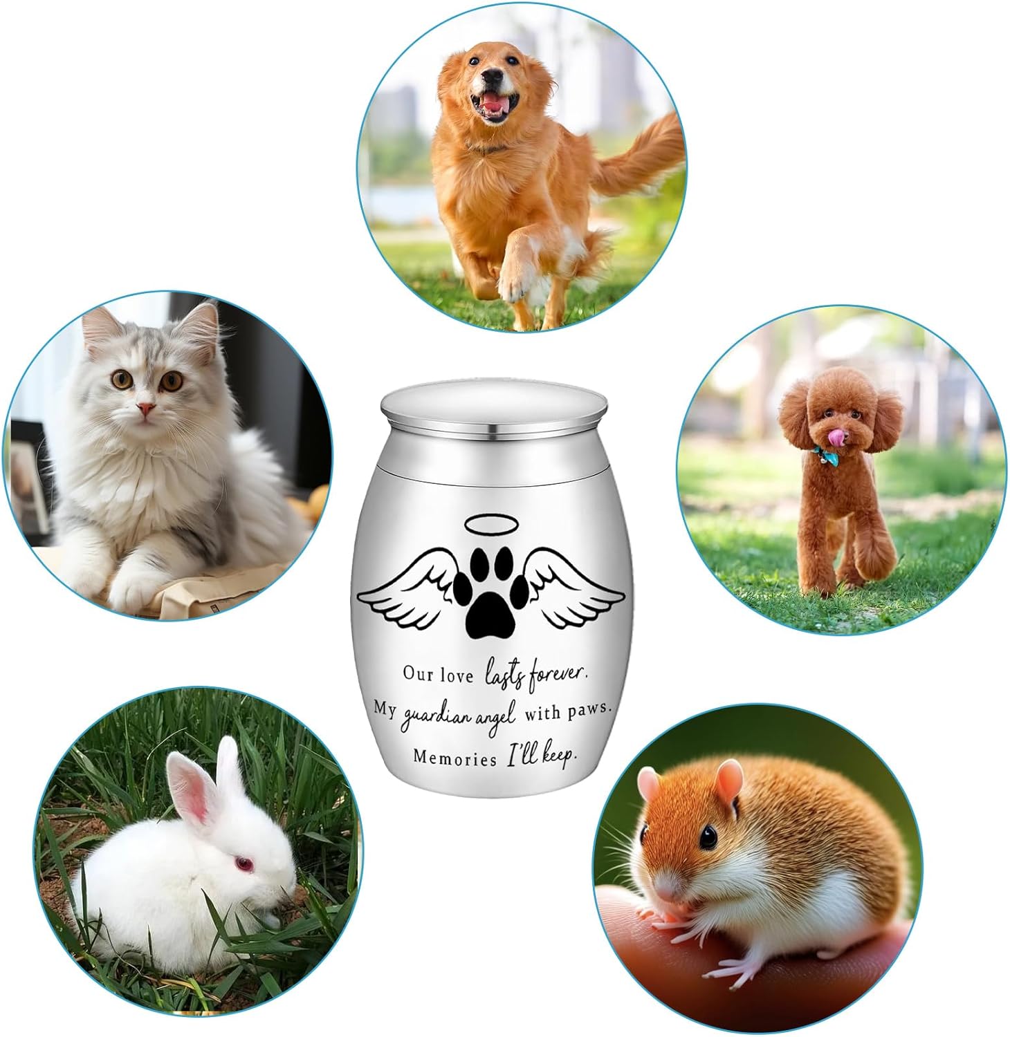 Small Pet Urn for Ashes Mini Keepsake Urn with Angel Wings and Paw Print