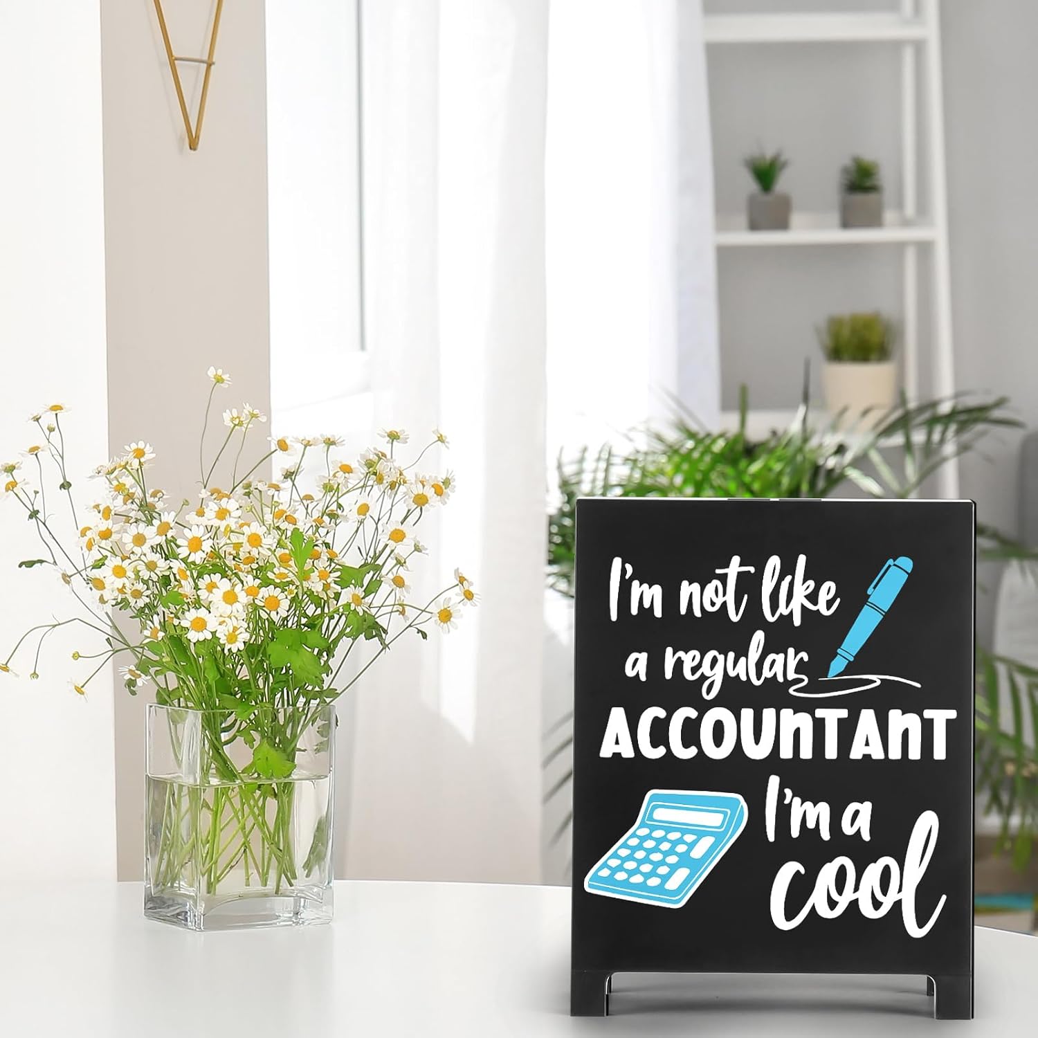 Funny Accountant Desk Decor Sign Im Not Like A Regular Accountant Im A Cool