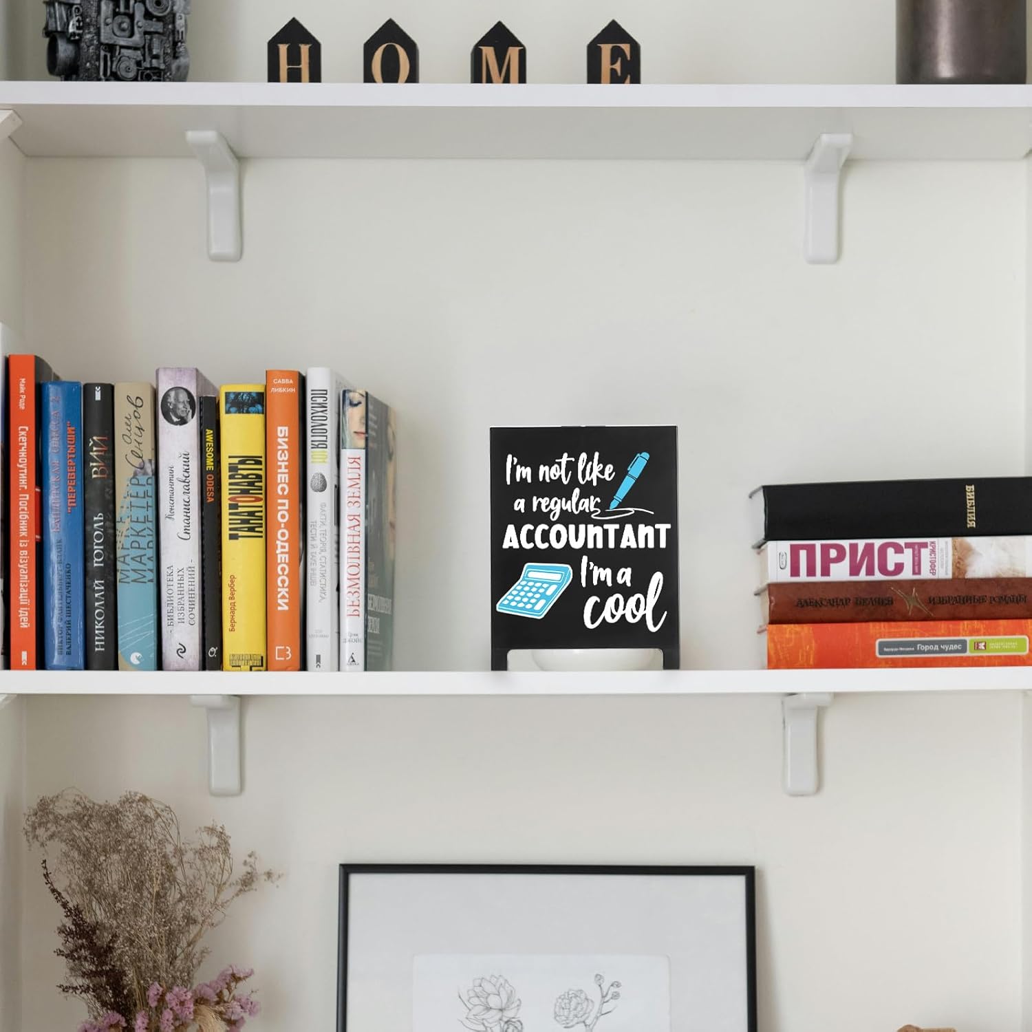 Funny Accountant Desk Decor Sign Im Not Like A Regular Accountant Im A Cool