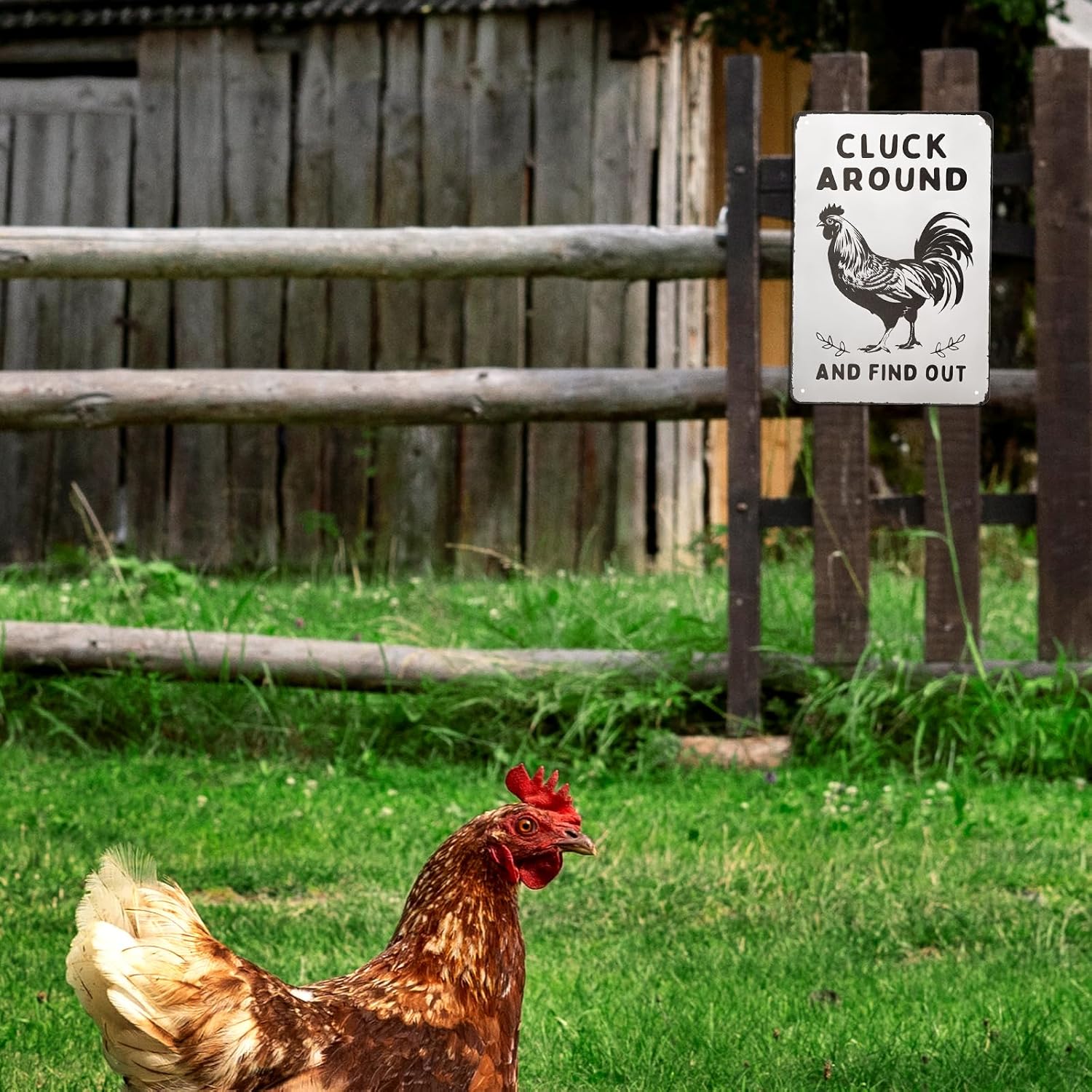 Funny Chicken Wall Decor Metal Sign Farmhouse Gift Cluck Around and Find Out Poster