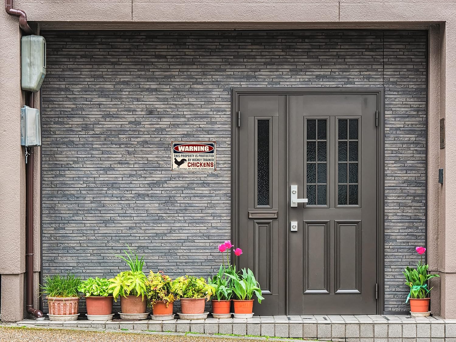 Funny Chickens Decor Vintage Metal Tin Sign 8x12 Inch